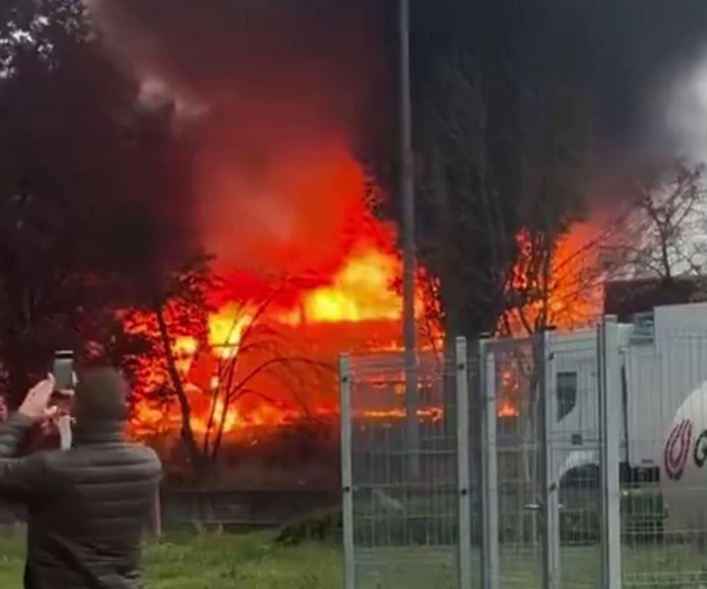 Płonie pociąg w Poznaniu