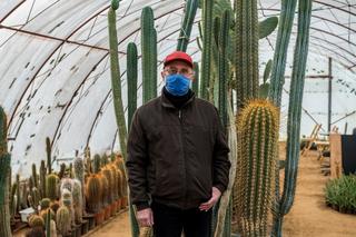 Kaktusy pana Mieczysława potrzebują ciepła