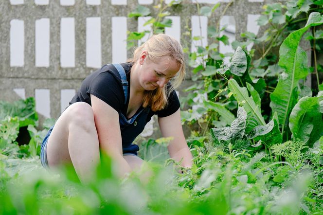 "Rolnik szuka żony"