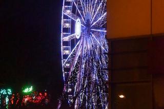 Oko Kopernika wieczorową porą. Tak wygląda w Toruniu