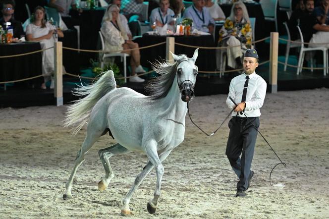 Porażka Pride of Poland 2024? Zyski są zdecydowanie niższe niż rok temu