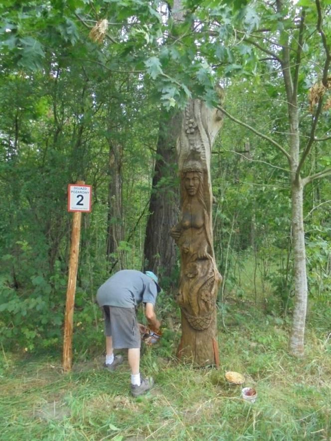 To najtrudniejsza trasa rowerowa na Warmii i Mazurach? Tak twierdzi AI