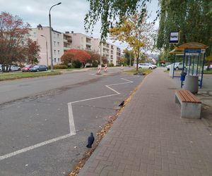 Trwa remont nawierzchni ulic Romanówka i Unitów Podlaskich w Siedlcach