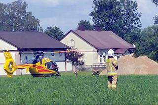 Wypadek w Staromieście. Autobus potrącił dziewczynkę
