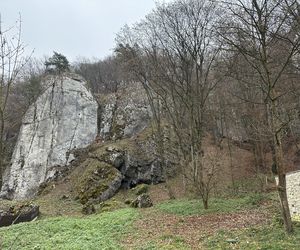 Najpiękniejsza wieś w Małopolsce zachwyca także jesienią. Leży na Szlaku Orlich Gniazd