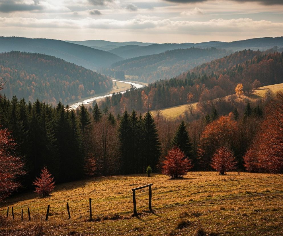 Pofałdowany krajobraz górski rozciąga się w głąb obrazu, ukazując dolinę z wijącą się rzeką pośrodku. Dominują jesienne barwy, z lasami iglastymi i liściastymi, których liście przybrały odcienie czerwieni, pomarańczu i brązu. Na pierwszym planie widoczna jest trawiasta łąka ze słupkami ogrodzeniowymi, a po jej bokach rosną drzewa o jaskrawo pomarańczowych liściach, częściowo oświetlone promieniami słońca. Niebo jest częściowo zachmurzone, z rozproszonymi obłokami, a światło słoneczne tworzy cienie i rozświetla niektóre fragmenty krajobrazu.