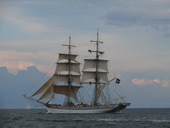 ParadaZagleGdyni2014_FotMZwierz_710329
