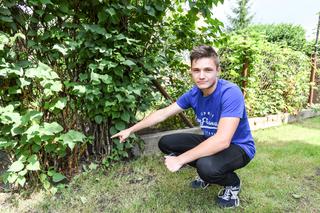 Złapałem boa dopadnę też pytona