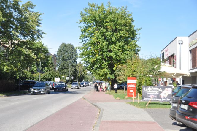 Powiat skarżyski. Skarżysko-Kamienna