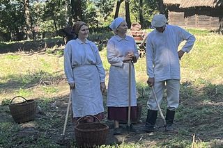 Tradycyjne wykopki w Muzeum Wsi Lubelskiej. Tak kiedyś zbierano ziemniaki