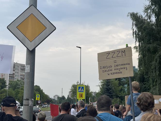 Protest mieszkańców przeciwko wycince drzew pod budowę linii tramwajowej do Mistrzejowic.