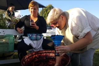 Święto Śliwki w Strzelcach Dolnych