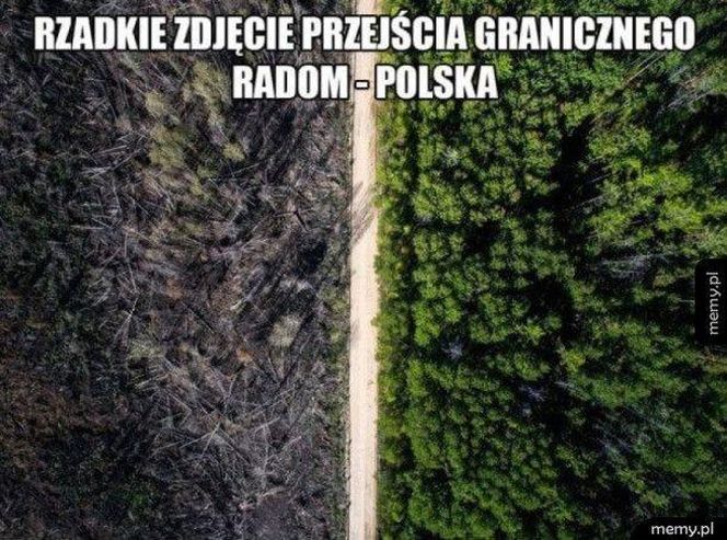 MEMY o Radomiu