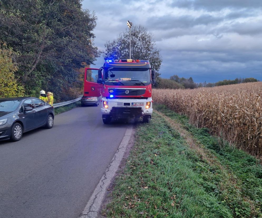 Izbica Kujawska. Ciało 62-latka w pobliżu drogi