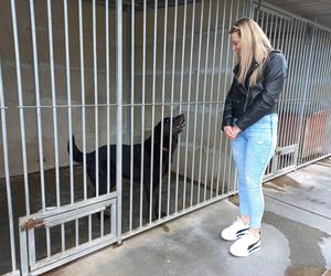 „Wszystkie psiaki nasze są” w schronisku w Henrykowie koło Leszna