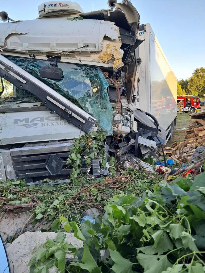 W Młynku kierowca ciągnika siodłowego z naczepą wjechał na posesję. Dwie osoby ranne