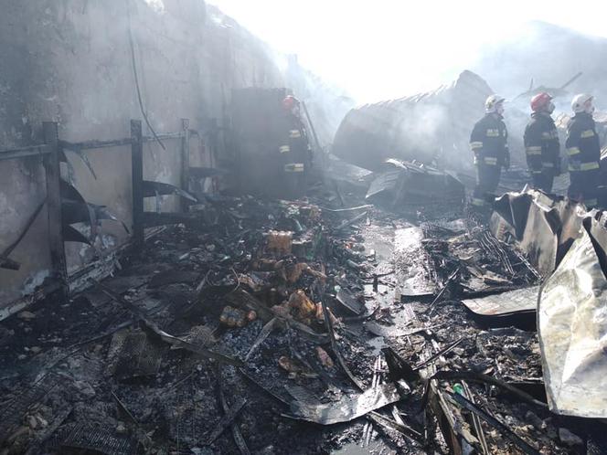 Pożar Biedronki w Rajgrodzie. Ogromne zniszczenia [ZDJĘCIA]