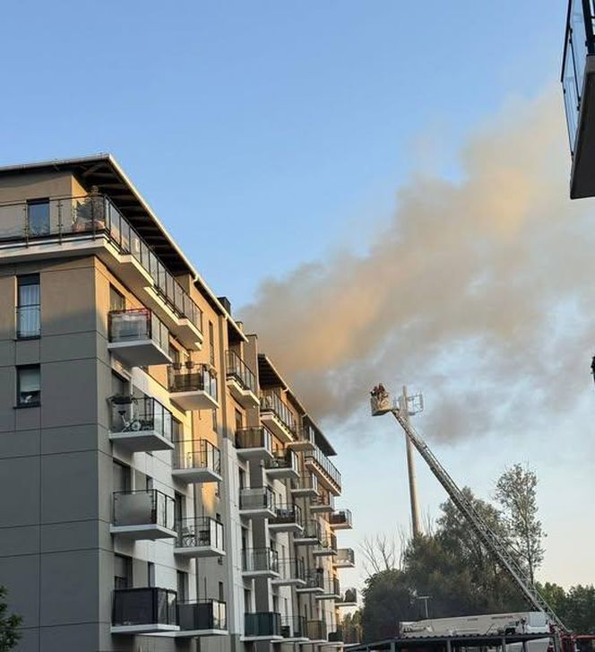 Pożar przy ul. Krańcowej w Poznaniu. Strażacy: "To była trudna noc" [ZDJĘCIA]