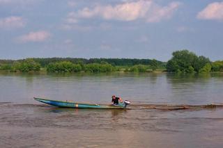 Wysoki poziom Wisły w Nieszawie