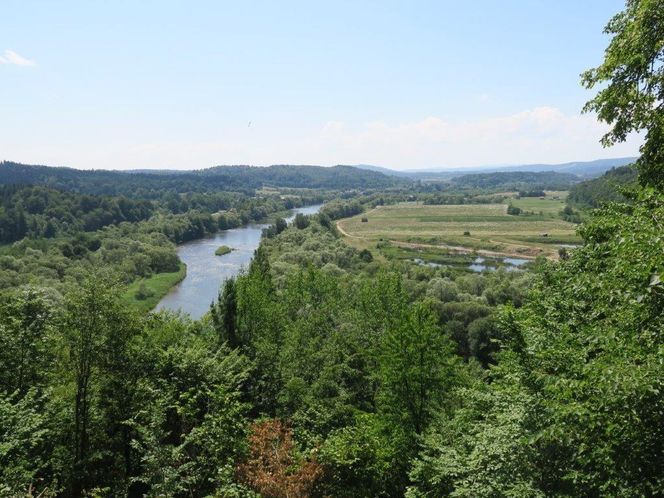 Platforma widokowa na Zamku Sobień