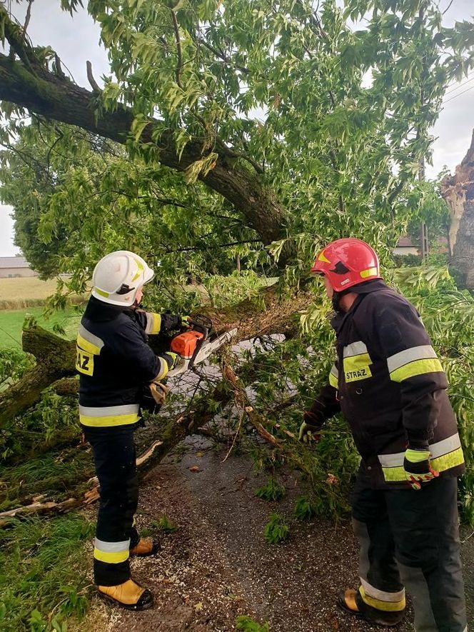 Potężna burza przeszła przez Bydgoszcz i region. Ponad 400 interwencji strażaków!
