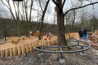 Remont Parku Bednarskiego w Krakowie