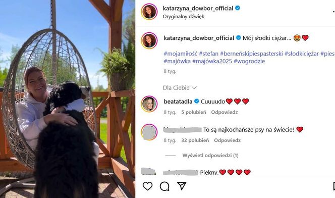 Te psy skradły serca gwiazd! Niektóre wyglądają jak z bajk