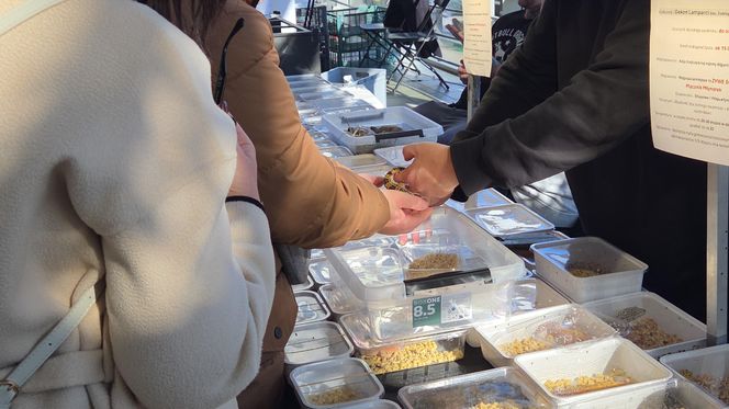 Węże, pająki i dreszczyk emocji w Bydgoszczy! Dragon Expo zachwyciło odwiedzających