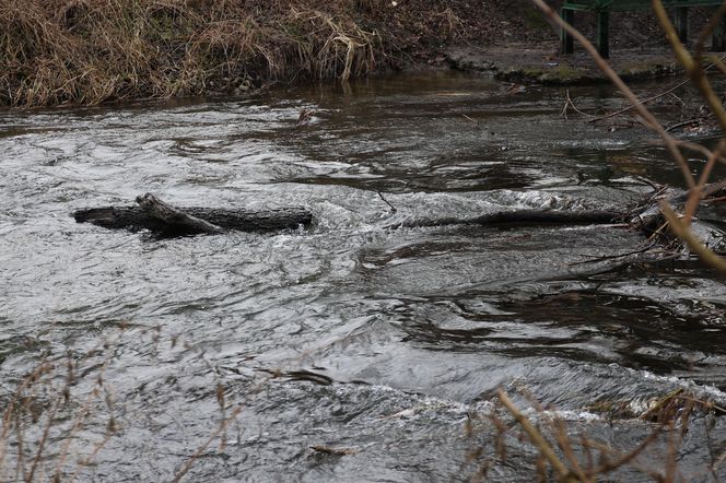 Spacer doliną Bystrzycy na lubelskim Wrotkowie