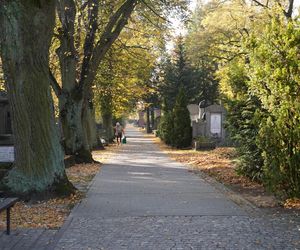 Cmentarz Jeżycki na poznańskich Ogrodach