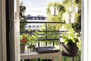 Pomysł na balkon - w czym sadzić kwiaty i rośliny na balkonie