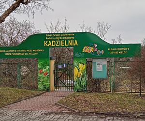 Rodzinny Ogród Działkowy Kadzielnia w Kielcach