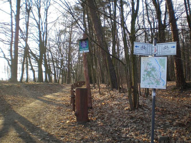 Bieganie w Warszawie: 10 najlepszych tras na poranny jogging [GALERIA]