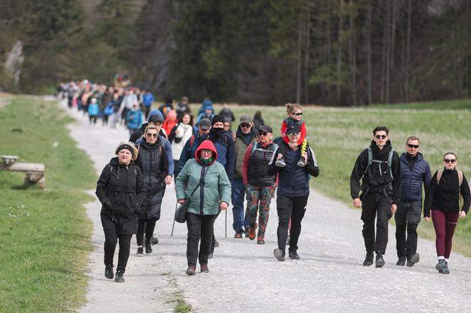 Tłumy turystów w Dolinie Kościeliskiej przed majówką