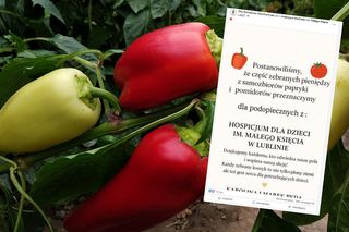 Samozbiory niedaleko Lublina. Rolniczka chce oddać część przychodów na hospicjum