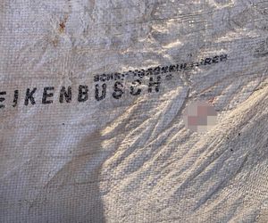 Za zabicie psa idzie za kratki