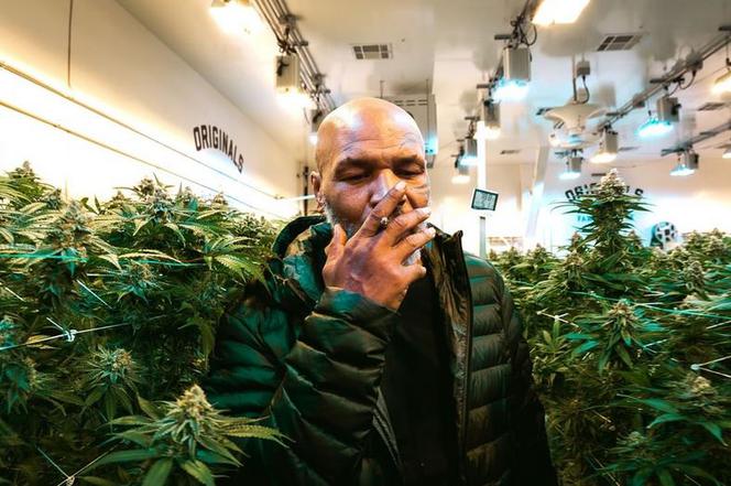 Mike Tyson zapaliłby z Bobem Marleyem