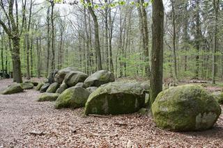 Archeolodzy z UAM w Poznaniu i z Muzeum Archeologicznego w Poznaniu odkryli pierwsze megalityczne grobowce w Wielkopolsce!