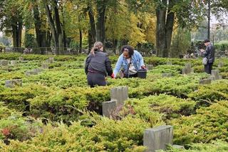 Żołnierze US Army sprzątają groby polskich żołnierzy 