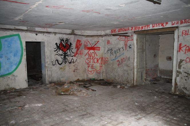 Pałac Kamieniec przed remontem