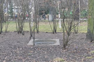 Park Kochanowskiego w Bydgoszczy, czyli serce bydgoskiej Dzielnicy Muzycznej!
