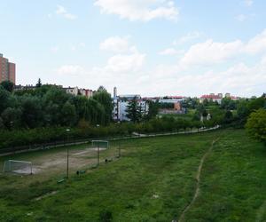 Lublin. „Filary porośnięte bluszczem” i nie tylko. Park Jana Pawła II w lipcowej odsłonie