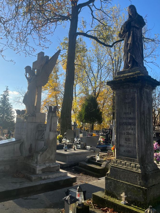Zapomniany cmentarz w Lublinie zachwyca pięknem i historią. Ma już ponad 150 lat