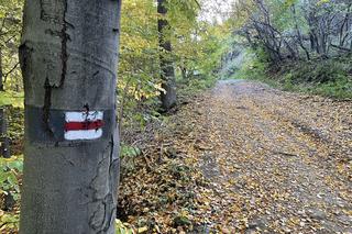 Jesień w Beskidzie Sądeckim 
