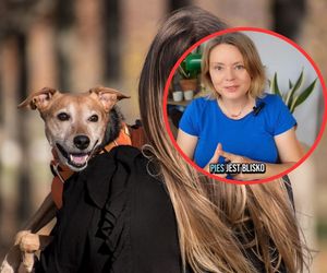 To może zaszkodzić twojemu psu! Ekspertka ostrzega przed modnym gadżetem