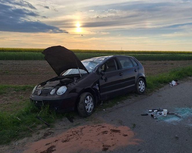Na drogę nagle wybiegł zając. Volkswagen z 20-latką dachował na poboczu