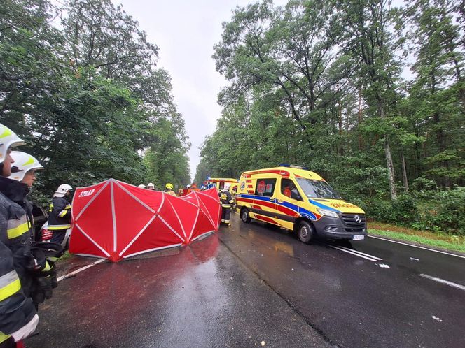 Śmiertelny wypadek na DK 69 pod Kępnem. Nie żyje dwóch kierowców 