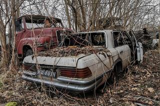 Niesamowite cmentarzysko samochodów. Te wraki robią wrażenie! 