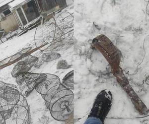 Wnyki i sieci na posesji 61-latka. Mężczyzna może trafić na rok do więzienia