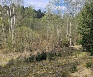Stadion Leśny w Olsztynie dawniej i dziś. To tam bito rekordy świata w lekkiej atletyce